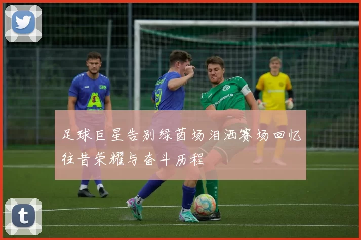 足球巨星告别绿茵场泪洒赛场回忆往昔荣耀与奋斗历程