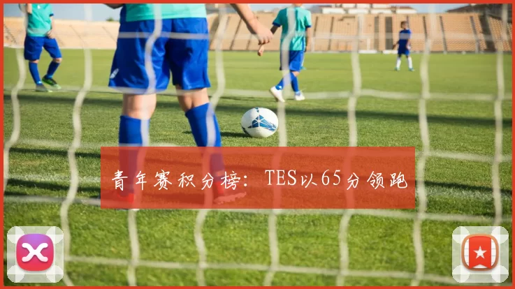 青年赛积分榜：TES以65分领跑