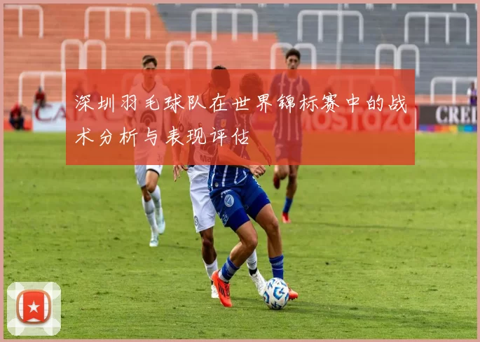 深圳羽毛球队在世界锦标赛中的战术分析与表现评估