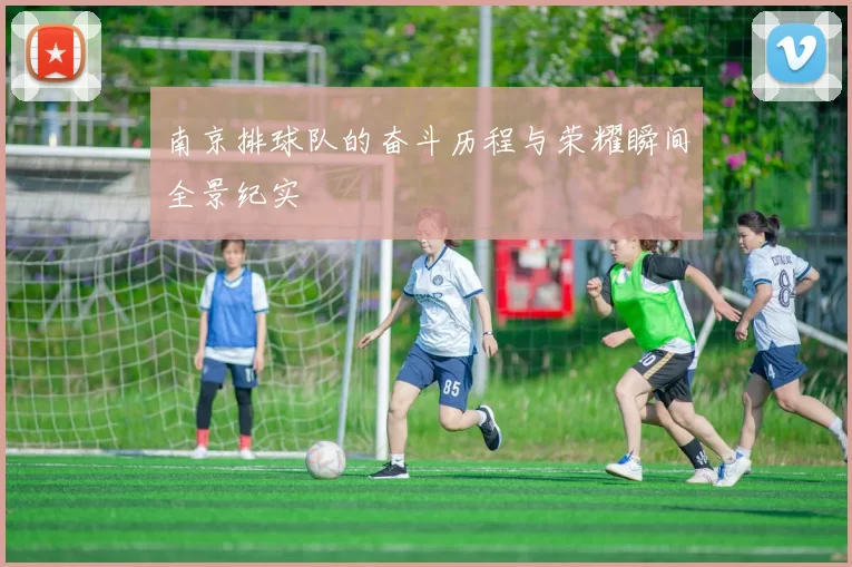 南京排球队的奋斗历程与荣耀瞬间全景纪实