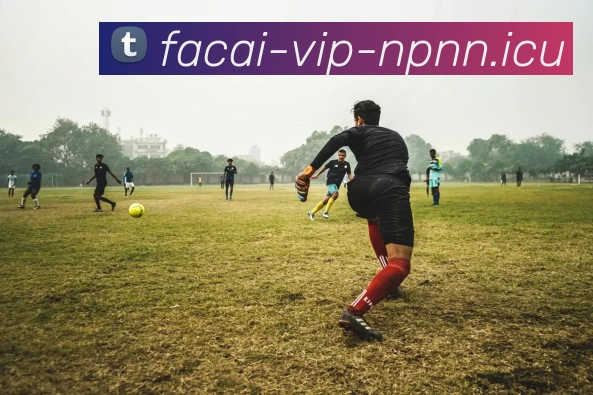 爱游戏体育品牌故事