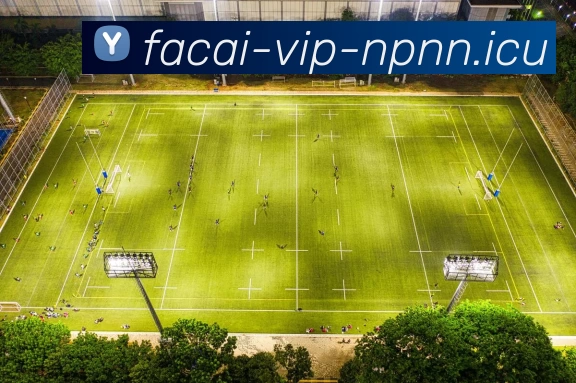 爱游戏体育服务体系